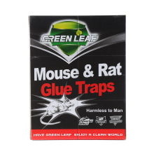 批发绿叶GLE1001英文黑色精装可折叠加厚款粘鼠板 灭鼠杀虫用品支