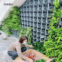 ��ֱ�G����׃ħ��ֲ������@ˇ����Gֲ����ֲ��Nֲ������̫��