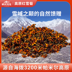 パミール高原赤雪菊野菊小粒菊茶赤雪山野菊茶工場直販香り