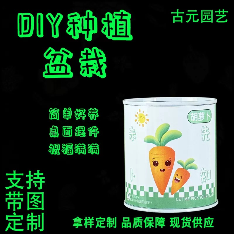 网红祝福迷你罐头盆栽 儿童diy实验观察发芽种子花草盆栽盲盒