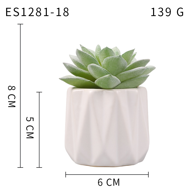 Pequeña ola al por mayor taza tipo simulación planta suculenta nórdico Muebles de Oficina Decoración fresca nuevo producto
