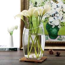 花瓶摆件玻璃花瓶客厅透明插花富贵竹绿萝水培干花花瓶斜口鱼缸