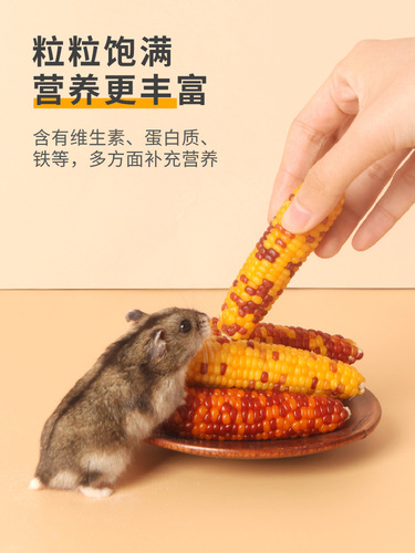 Hamster teething stick snacks small corn cobs food nutrition golden bear rabbit landscaping supplies