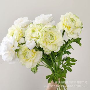 ��Ʒ�|���Ӵ�¶ɏ�� ��ɫ������ĵ�� ëݢ�͏d���������Ƶ껨ˇ��