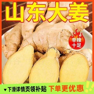 �F��ɽ�|�����ԷN�Ͻ��齪ɽ�|�����r�S���ɽ����K�����r���ԷN