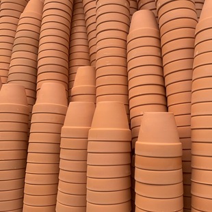 �t���������������С����С̖������͸�⺆�s����������S��ֱ�N