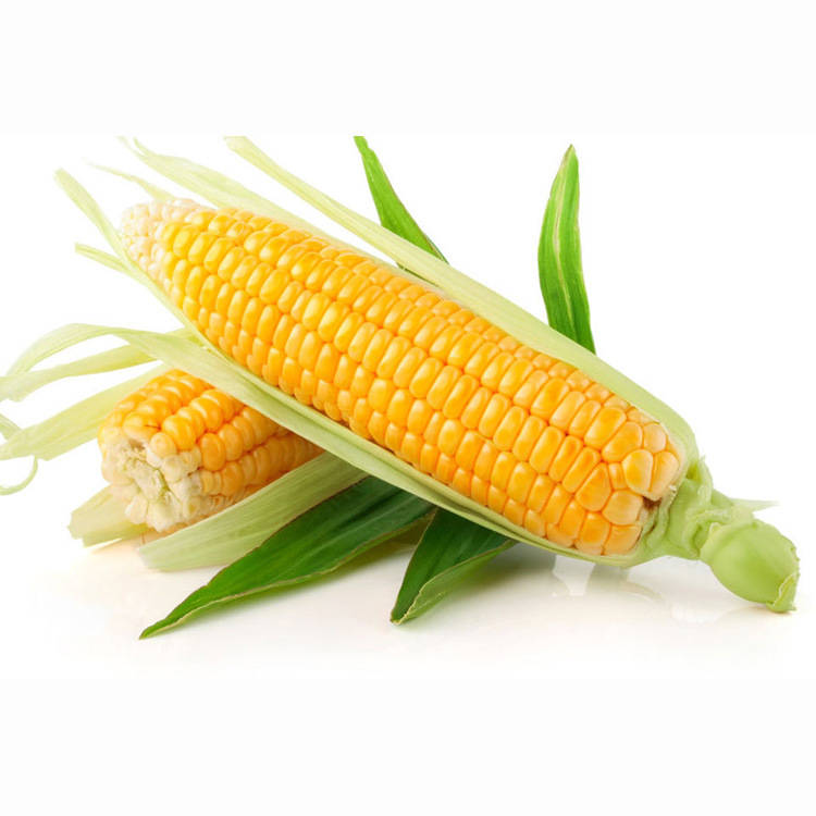 �������㾫�������㾫��������㾫����ҵ���㾫��PU���͸����㾫