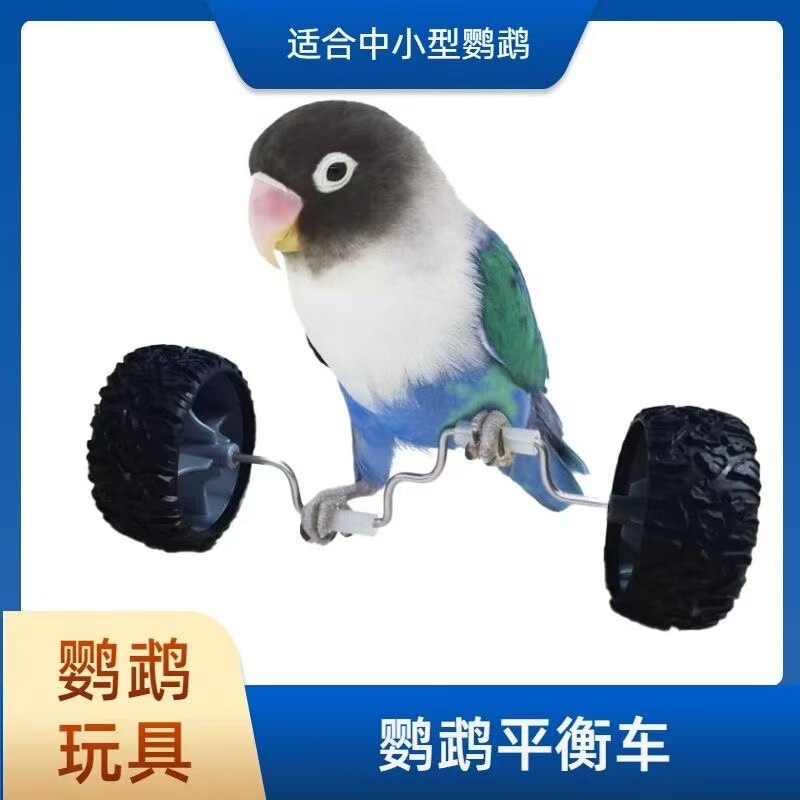 Parrot Toys to Relieve Boredom, Balance Car Companion Props, Tiger Skin Peony Pulley Skills Training Props, Black Phoenix Bird Toys