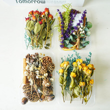 干果干花diy材料包天然植物风干圣诞松果肉桂手工制作ins装饰摆件