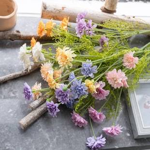 �S�����˾ջ�INS�L���滨�Ҿ��b羳��c���l�ٻ�MW66012