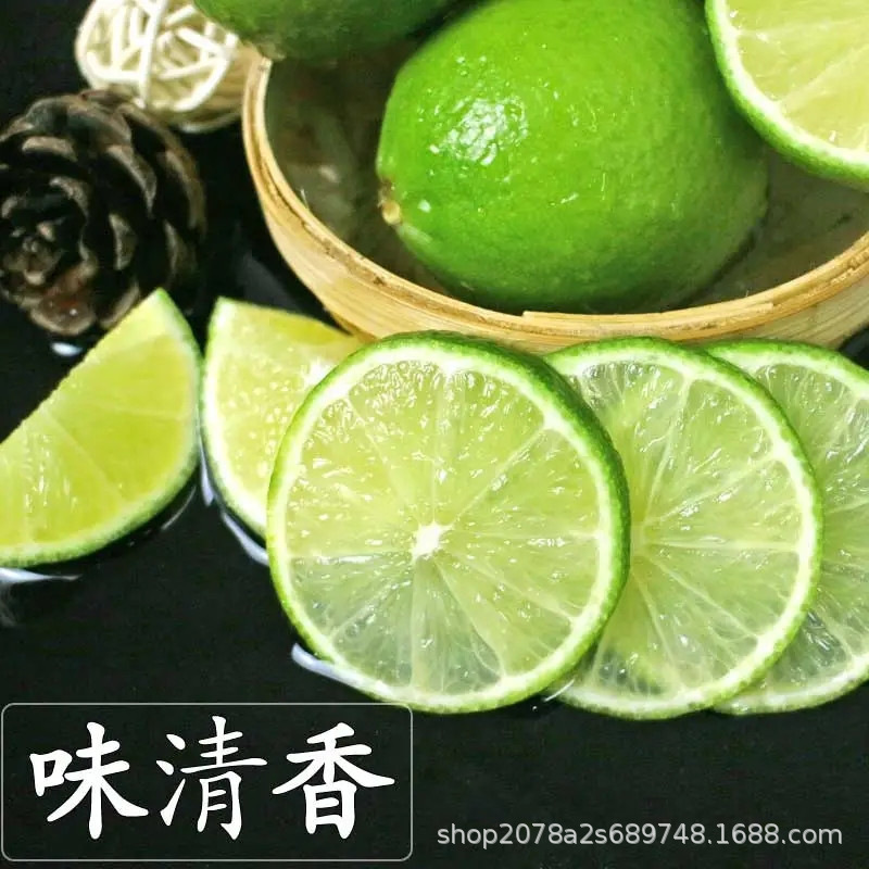 Thai Variety Tahitian Seedless Green Lemon Fresh Fruit Commercial Small Lime Milk Tea Shop Special Green Wholesale