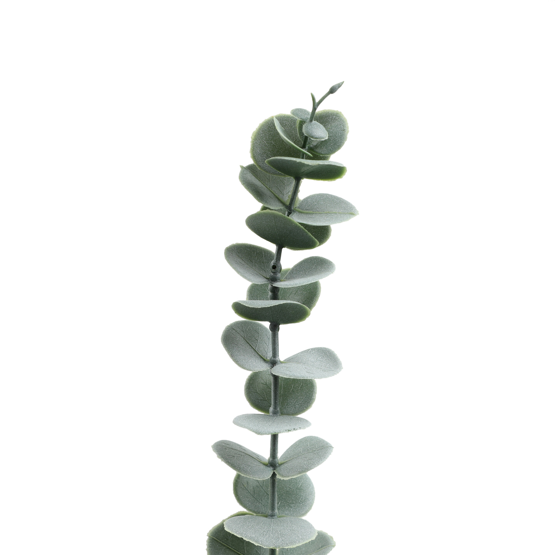 L75#-细节图 (4).jpg