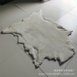 ��ëЬ��Ƥ��ƤƤëһ�w��ë���b��đƤ��Ь��ëЬ�Ӄ�����ë�S��