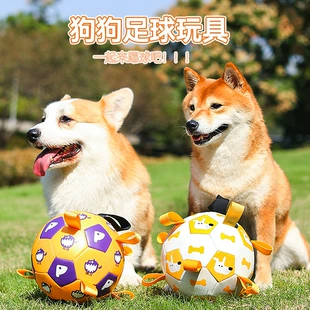 Interactive Inflatable Dog Soccer Toy, Travel-Friendly, Sound-Making, 15 & 19 cm Options
