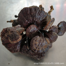 森林之爱野生竹灵芝整枝灵芝长脚灵芝紫芝泡酒料煮茶500g切片打粉