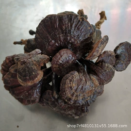 灵芝;其他药食同源;其他滋补