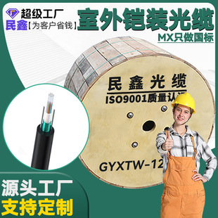 ����GYXTW�����z�b��ģ���w����4/8/12о���|��������ʽ4о���|��