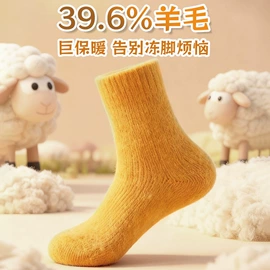 运动休闲棉袜;船袜、隐形袜;袜套