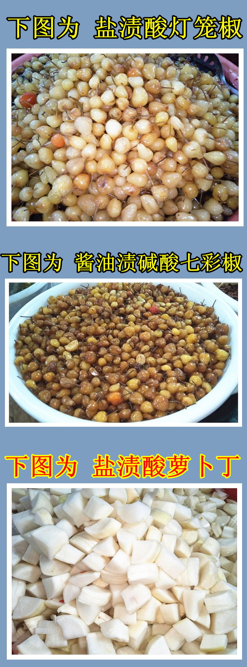0-4、七彩椒萝卜丁.jpg