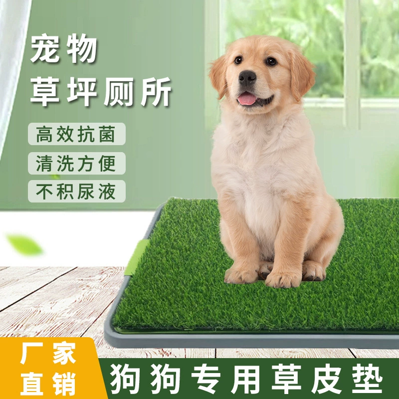 Amazon Взрывной туалет для домашних животных негабаритный собачий уретан съемный против брызг