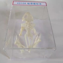 �ܹ����˱� ���й����˱� J43108 �ЌW�������� �̌W�x������