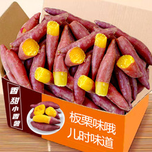 ����С����5�����ζС�t�����rʳ�õع���ָ��������Ŀɽ�R��3��