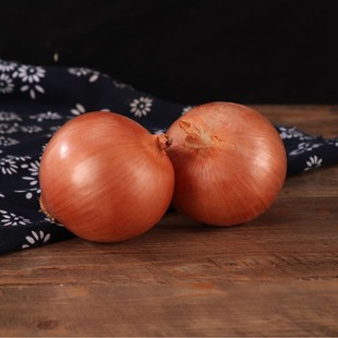 ���ڼӹ��SƤ���[ ��Ƥ���[ Ʒ�|���C