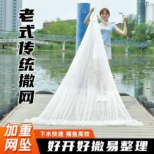 ������ƽ���W�������W��ʽ���W���y�֒��W�����p�@�W