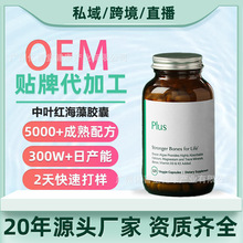 �羳�V���|�V���~�t�����z�� �����B�������S����C�SD3�SK2Ӳ�z��