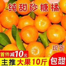 正宗广西砂糖橘新鲜水果10斤当季蜜桔金秋沙糖桔橘子贡柑整箱包邮