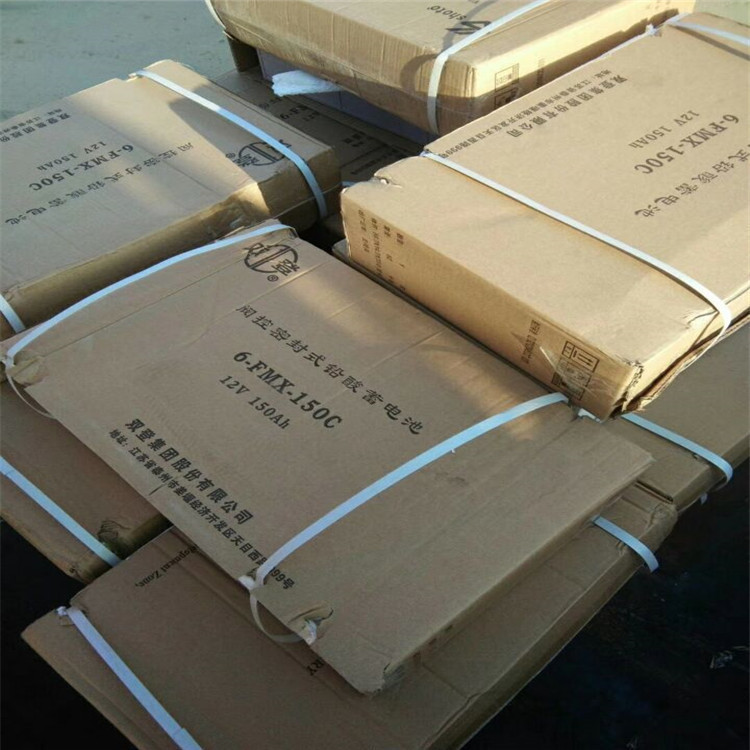 双登蓄电池6-FMX-200 12V200AH 通信基站铅酸蓄电池