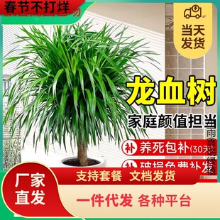 һ�����l��Ѫ��͏d���ԾGֲ�҃ȴ��ͺ��B���^��횘����F���绨��