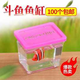 装鱼塑料罐新款斗鱼杯斗鱼方盒方杯小鱼鱼缸昆虫盒宠物盒乌龟缸