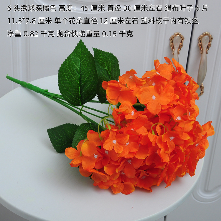 6头绣球深橘色
