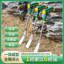 ��Ұ�������i�С�P�����j�ˈ@ˇ�F�P�N���������ݹ�����