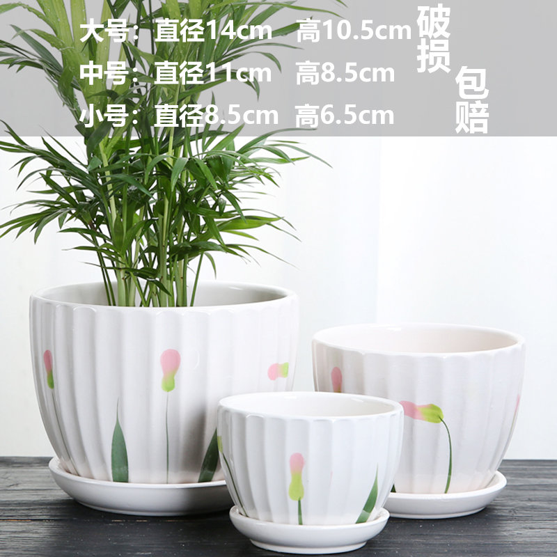 세라믹 - 가성비 좋은 워터 히비스커스 3종 세트 - 대형