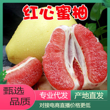 【一件铺货】现摘红心柚蜜柚新鲜水果柚子对接电商直播产地直发