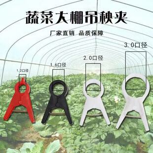 ���t���A�ӵ���A25���Ͻ����A���������J�����r�ô����߲˵����A