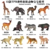 TPR 12 BY cartoon wildlife baby set