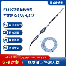PT100铠装铂热电阻可做K型N型J型E型铠装活动卡套螺纹温度传感器