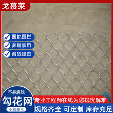 �����W��\�F�z�W ��\�F�z�����W  �o�¾G�����ι����W