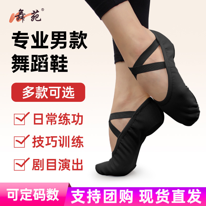 Wuyuan Wangjun Boys' Special Black Soft-Soled Cat Claw Shoes Ballet Shoes Practice Shoes Durable and Wear-Resistant