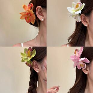 2026���ĺ�߅�ȼ�ޥ�m����l�A���������^���Շ���߅�A�Ӱl��^�