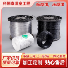 ��Ĥ�� ��Ĥ���ߏ�����䓾������܉�Ĥ����������S�����l