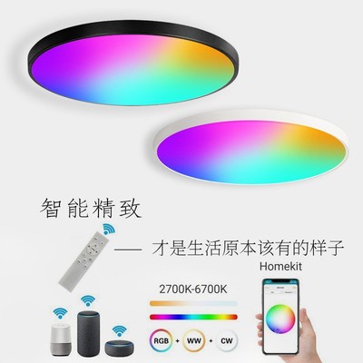 Wifi intelligence Voice Ceiling lamp APP Scan Code Remote Alexa Voice control colour Ceiling lamp Timing