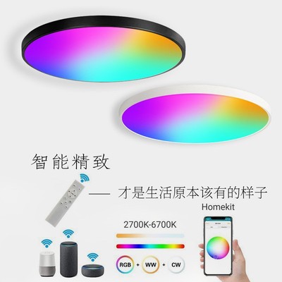 Wifi智能語音吸頂燈APP掃碼遠程Alexa語音控制彩色吸頂燈定時開