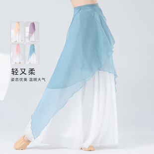 Classical Dance Pants for Women, Ancient Style Wide-Leg Pants, Performance Stage Clothes, Practice Clothes, Chinese Modern Ethnic Dance Elegant Gauze Pants