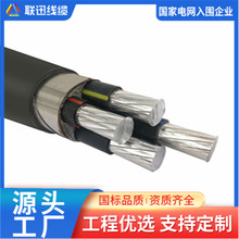 YJLV �X늾���| �Xо�����| �����|�S�� Ѹ������|�S��