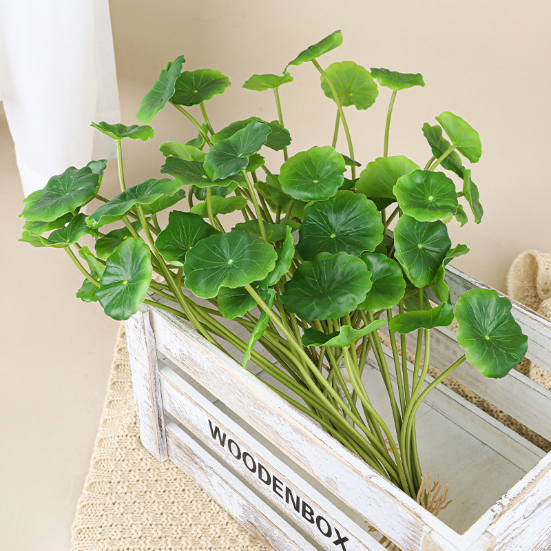 18 Pieces of Begonia Leaves, Simulated Green Plants, Small Lotus Leaves, Copper Coins, Grass, Gold Thread Grass, Small Bonsai Wholesale, Fake Flowers, Money Leaves 18 Pieces of Begonia Leaves, Simulated Green Plants, Small Lotus Leaves, Copper Coins, Grass, Gold Thread Grass, Small Bonsai Wholesale, Fake Flowers, Money Leaves