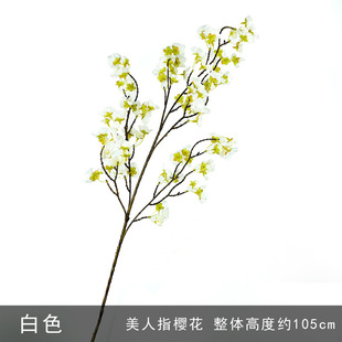 ��֦����ָ�ѻ� diy���⹤��ֲ���廨�zӰ�[����Y��ˇ�쾰����